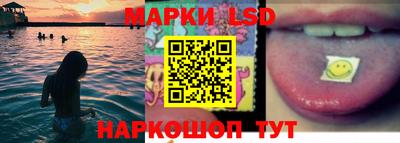 соль ск Будённовск