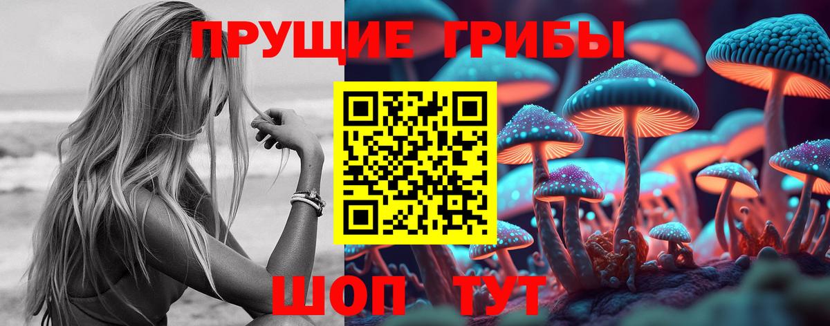 Галлюциногенные грибы GOLDEN TEACHER  Вход с VPN  Черемхово 
